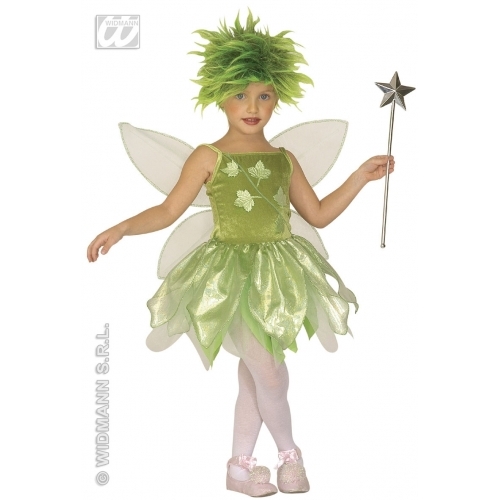 Carnevale costume vestito - carnevale,